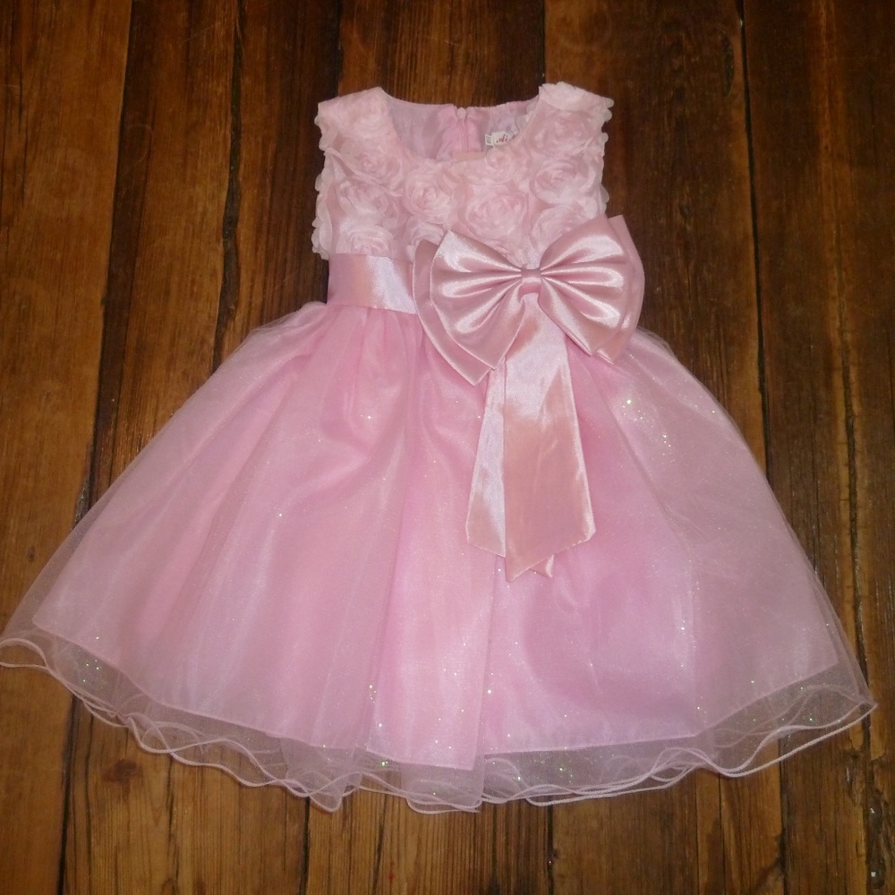 Little Girls Princess Dress Tulle Skirt & Sash Pink Toddler Formal 3/4
